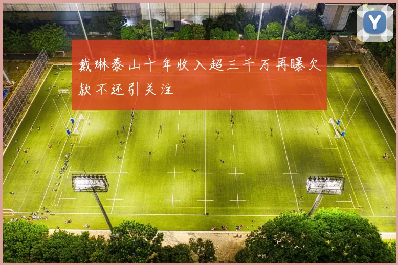 戴琳泰山十年收入超三千万再曝欠款不还引关注