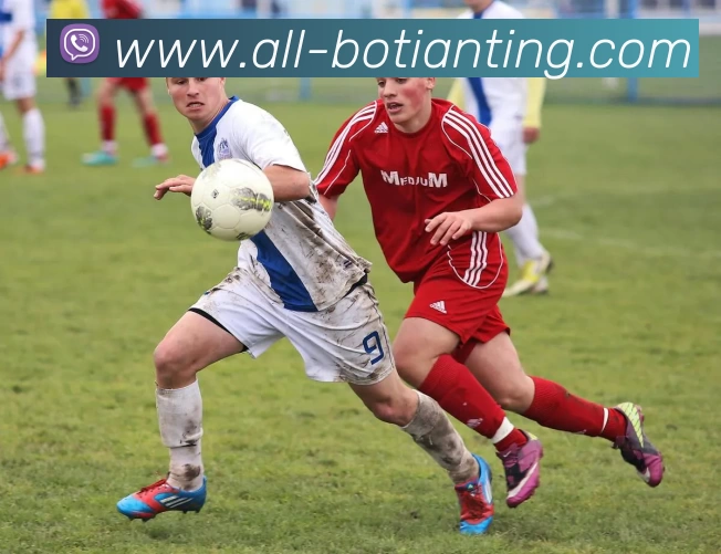 博天堂平台生态图